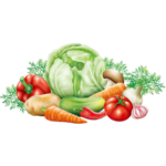 Vegetables - الخضروات